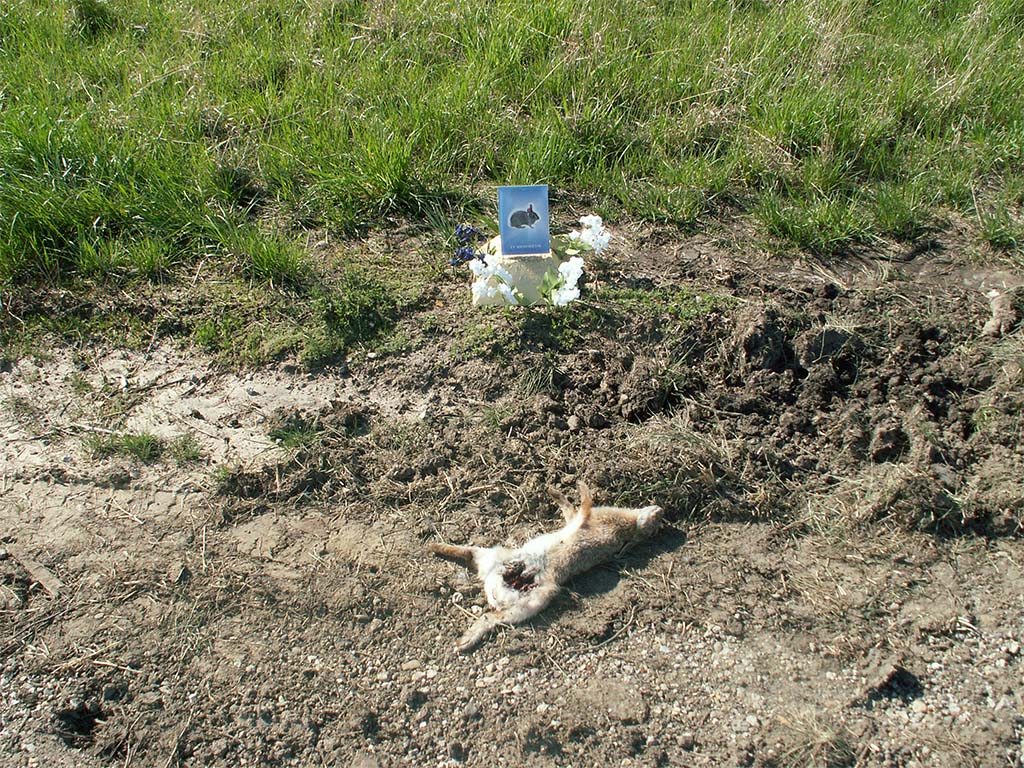 roadkill shrine